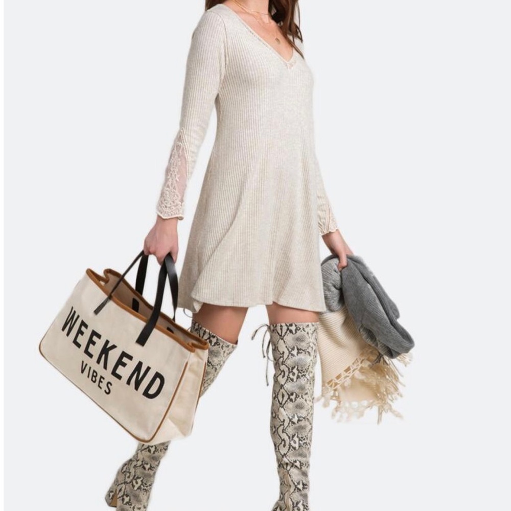 NWT Francesca’s Beige Lace Sleeve Dress